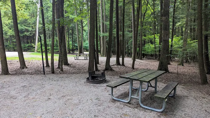 Ridge Campground At Cook Forest 2