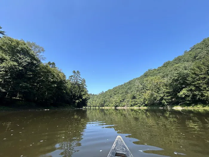 Ridge Campground At Cook Forest 7