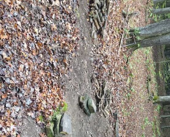 East Fork Campsite (North Country Trail)