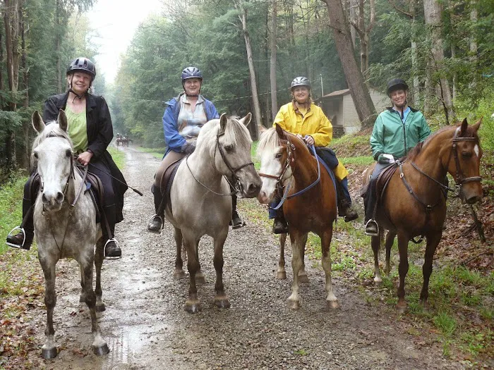 Hickory Creek Wilderness Ranch 9