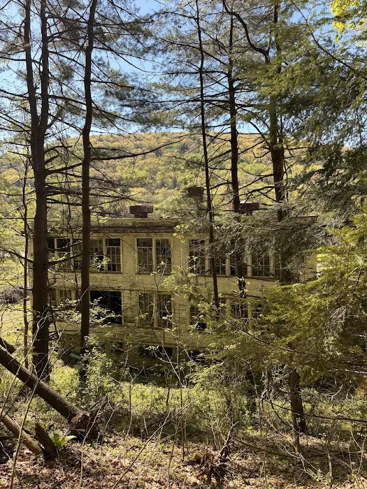 Old School Campground 4