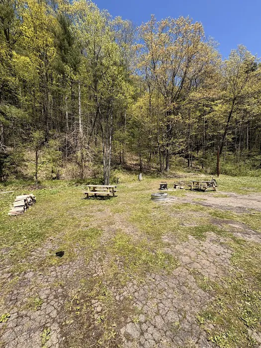 Old School Campground 1