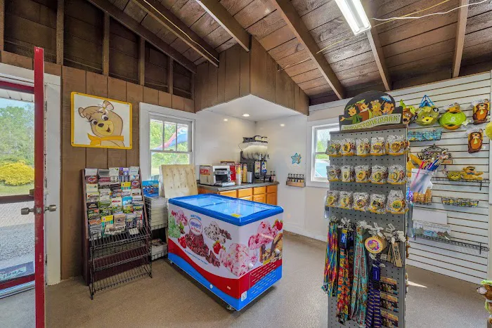 Jellystone Park™ Chautauqua County 5