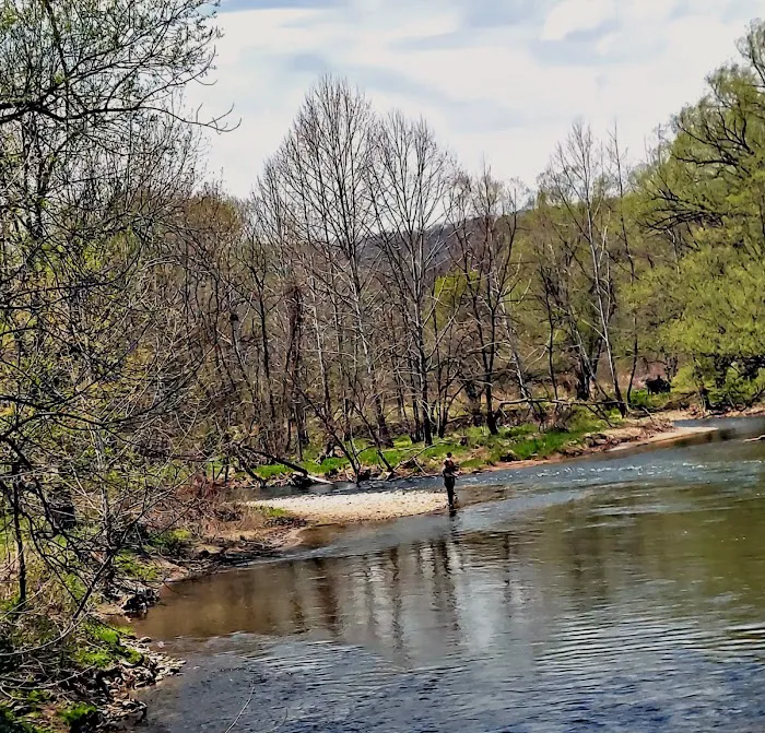 Brokenstraw Valley Campsites 5