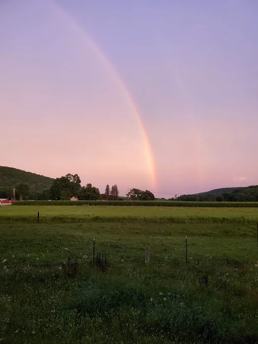 Brokenstraw Valley Campsites 4