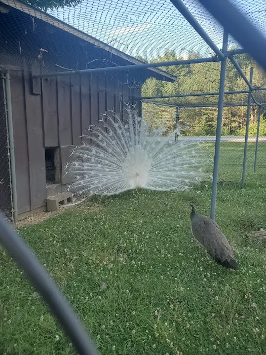 Three Valley Campground 0