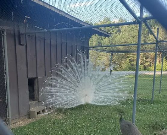 Three Valley Campground