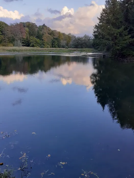 Three Valley Campground 1