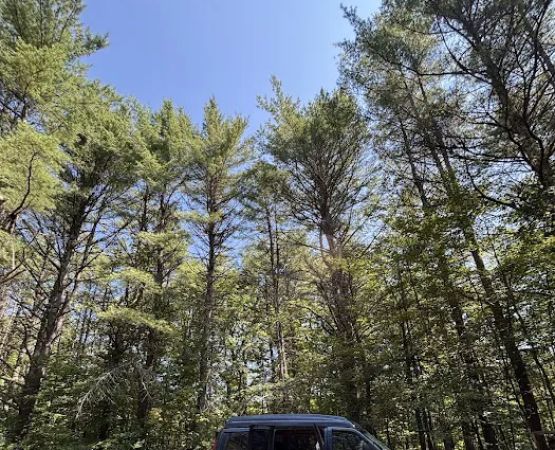 Pitch Perfect at Canterbrook