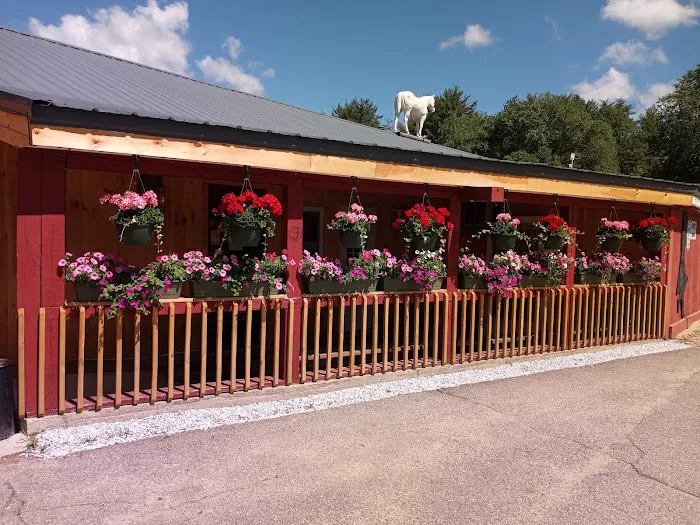 Circle 9 Ranch Campground 7