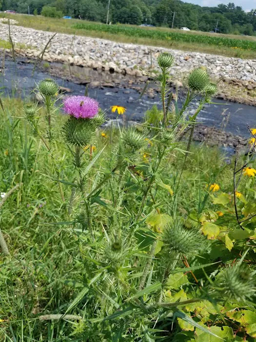 Bartletts Mobile Home Park 2