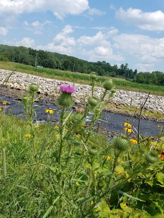 Bartletts Mobile Home Park 3