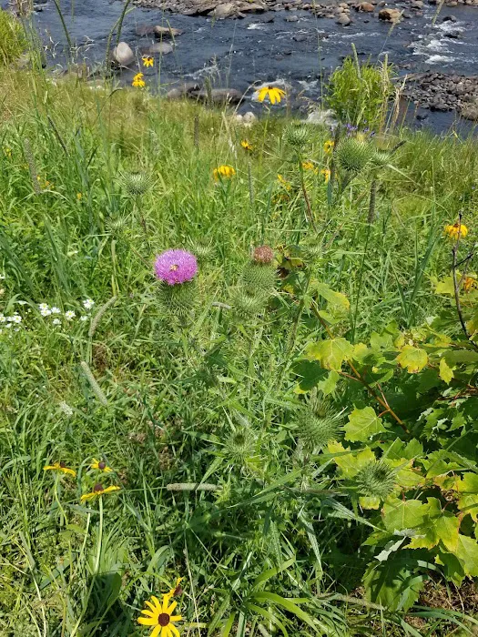 Bartletts Mobile Home Park 5