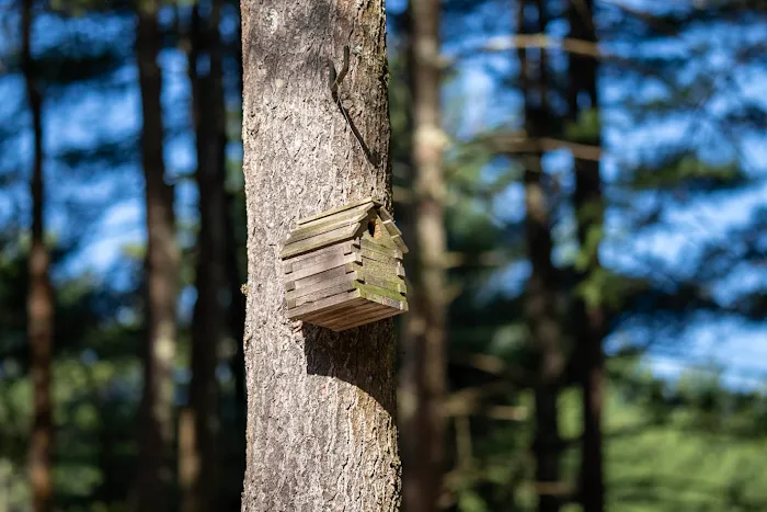Epsom Valley Campground 3