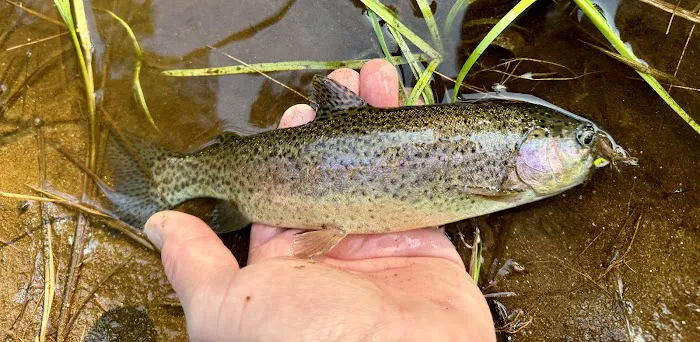 Cascade Campground 0