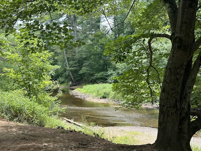 Lazy River Camping Area 8