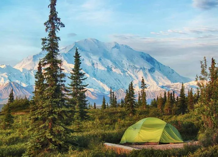 Camping With Kayla banner