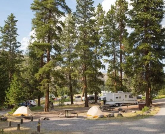 Camping in Yellowstone: What You Need to Know Before You Go