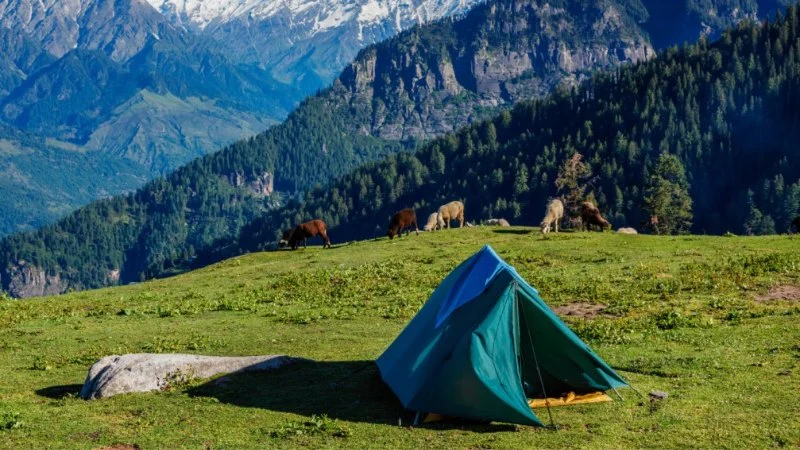 What to Know Before Camping in the Mountains