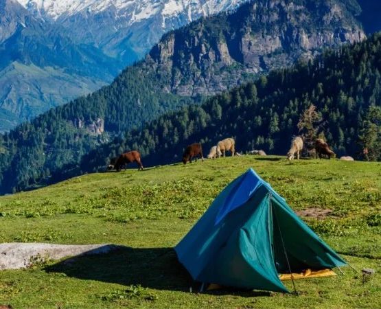 What to Know Before Camping in the Mountains