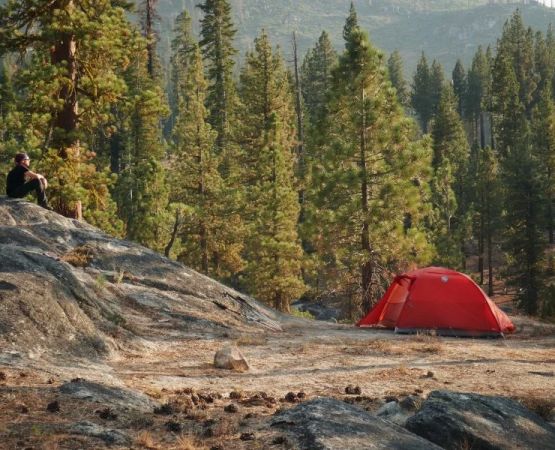 What Nobody Tells You About Camping in National Parks