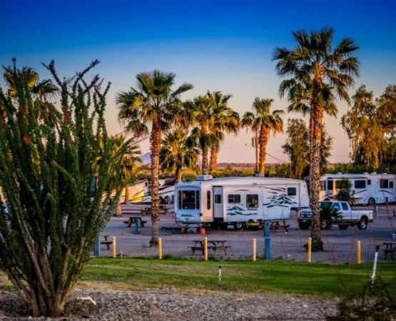 Best RV Parks in Arizona for Snowbirds