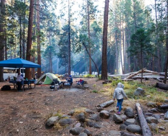 Yosemite Camping Tips: Reservations, Best Sites, and Safety