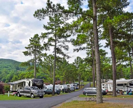 Best Fall Camping Destinations in the United States: Top Spots for Autumn Adventures