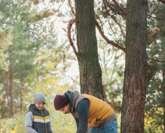 Camping on a Budget: How to Save Money on Gear and Sites