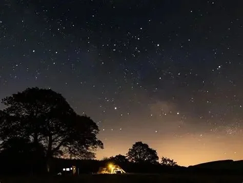 Stargazing Tips for Clear Nights at the Campsite