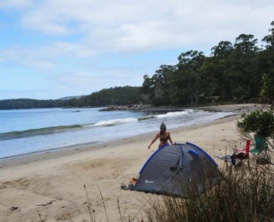 How to Stay Organized While Camping: Tips for a Smooth Outdoor Experience