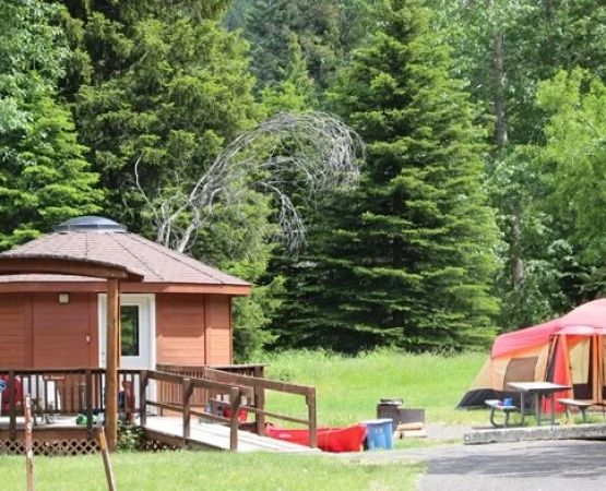 25 Best Campgrounds in the US for Families, Beginners, and First-Time Campers