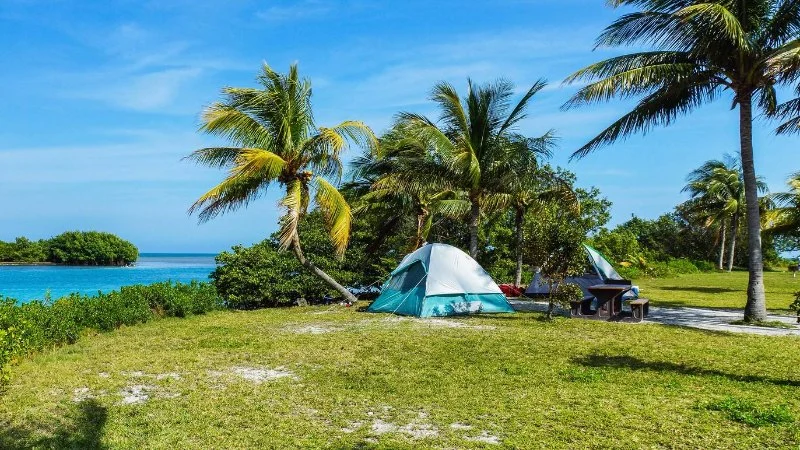 Top Camping Destinations in the US for Beginners Seeking Easy and Scenic Trips