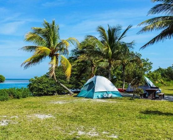 Top Camping Destinations in the US for Beginners Seeking Easy and Scenic Trips