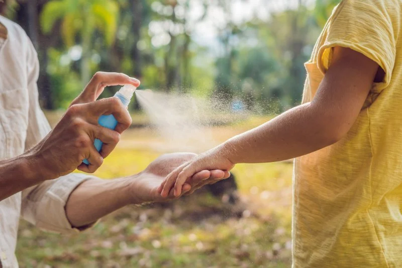 How to Keep Bugs Away While Camping Using Natural and Safe Methods That Work