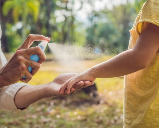 How to Keep Bugs Away While Camping Using Natural and Safe Methods That Work