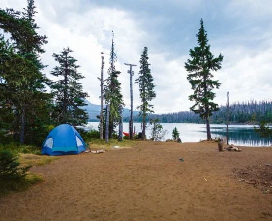 The Best Camping Spots in Oregon That Offer Peaceful Nature and Stunning Scenery
