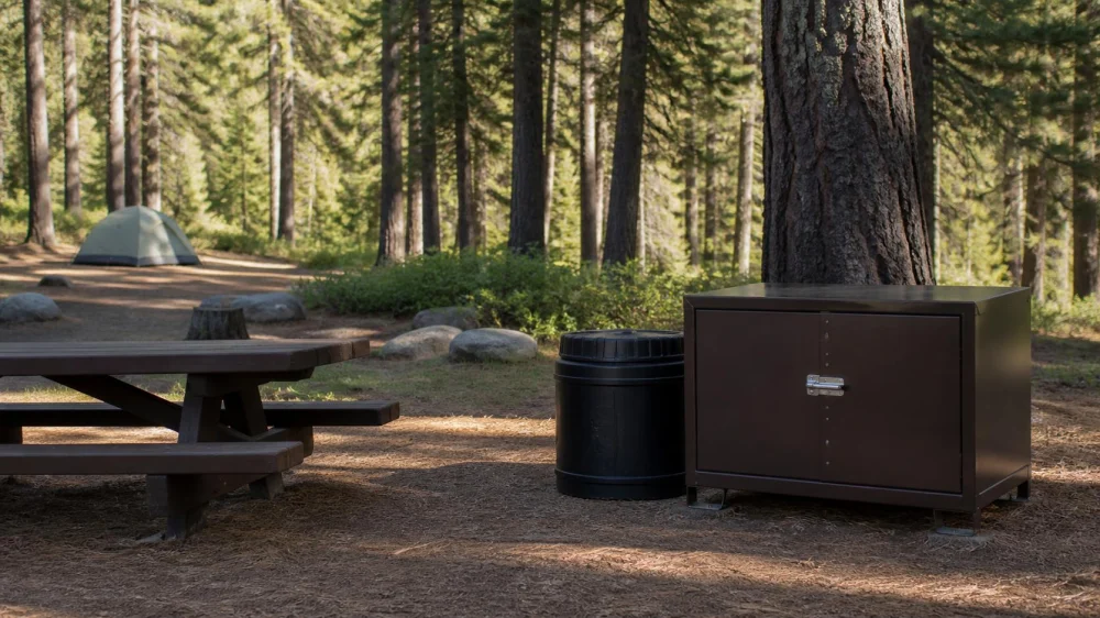 Campground Food Storage: Protect Wildlife and Follow Local Rules