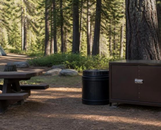 Campground Food Storage: Protect Wildlife and Follow Local Rules